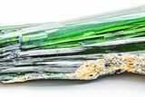 Gemmy, Emerald-Green Vivianite Crystals - Brazil #218224-2